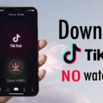 Snaptik Downloader